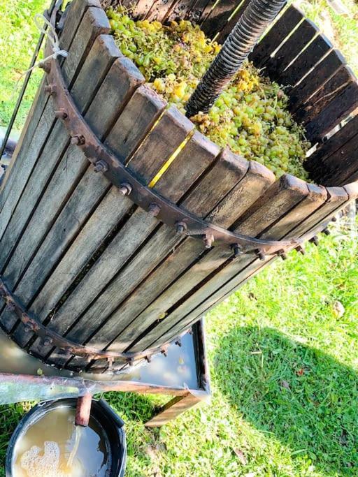 La-Marti, Idyllische Unterkunft Mit Kamin Bagdati Exteriör bild